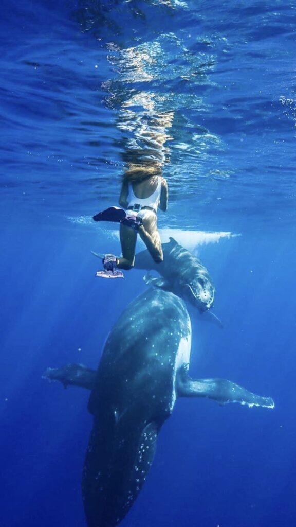 Free diving with humpback whales in French Polynesia