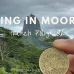 Hiking in Moorea French Polynesia