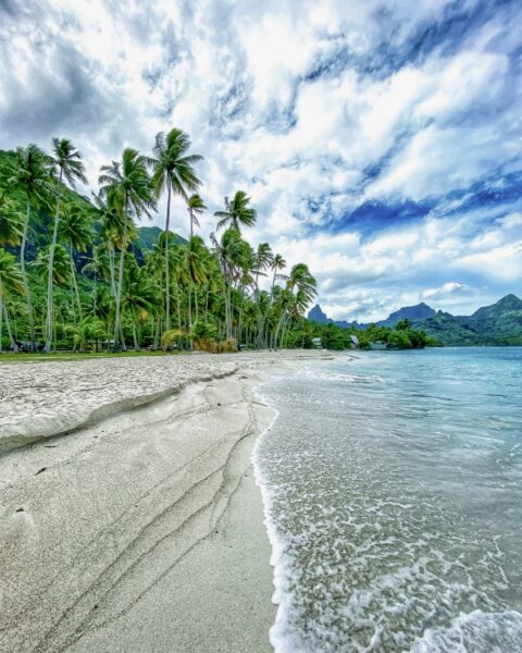 Beach and Mountain of Moorea French Polynesia