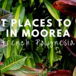 Best Places to Eat in Moorea