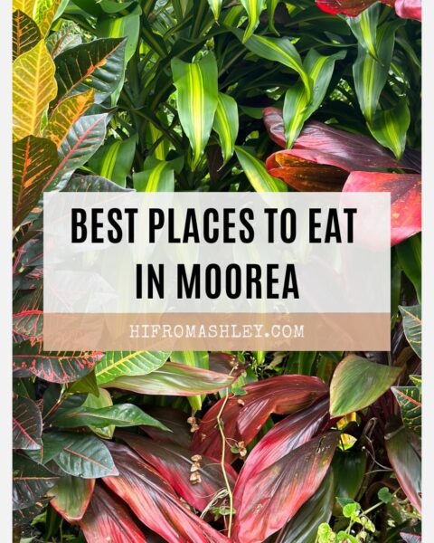 Best Places to Eat in Moorea