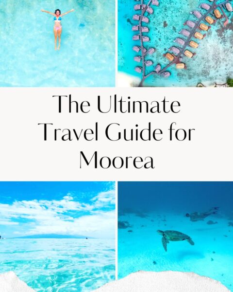 The ultimate travel guide for Moorea French Polynesia