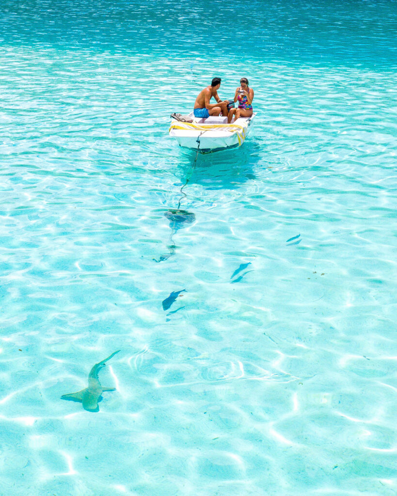 shark and ray spot Moorea French Polynesia