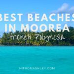 best beaches in moorea French polynesia