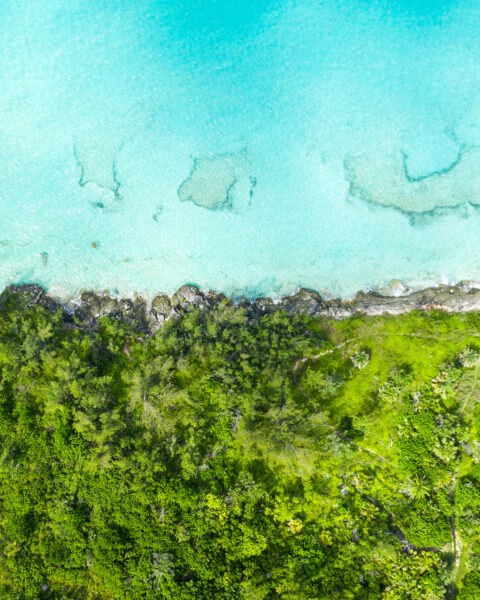 Bermuda land and ocean drone photo