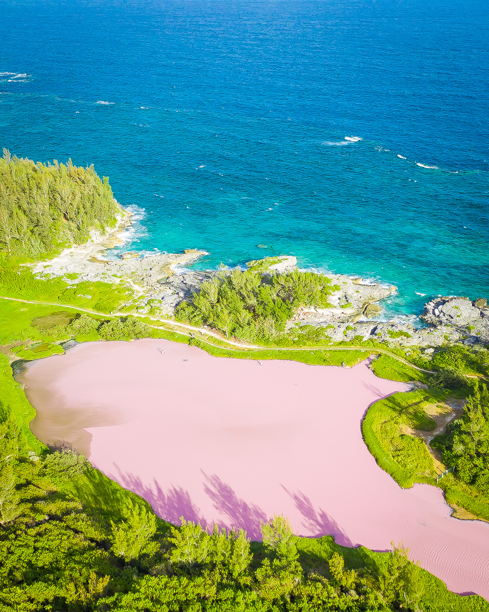 Drone Photo of Spittal Pond a pink pond in Bermuda