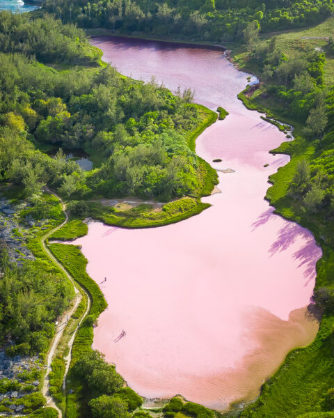 Drone Photo of Spittal Pond a pink pond in Bermuda