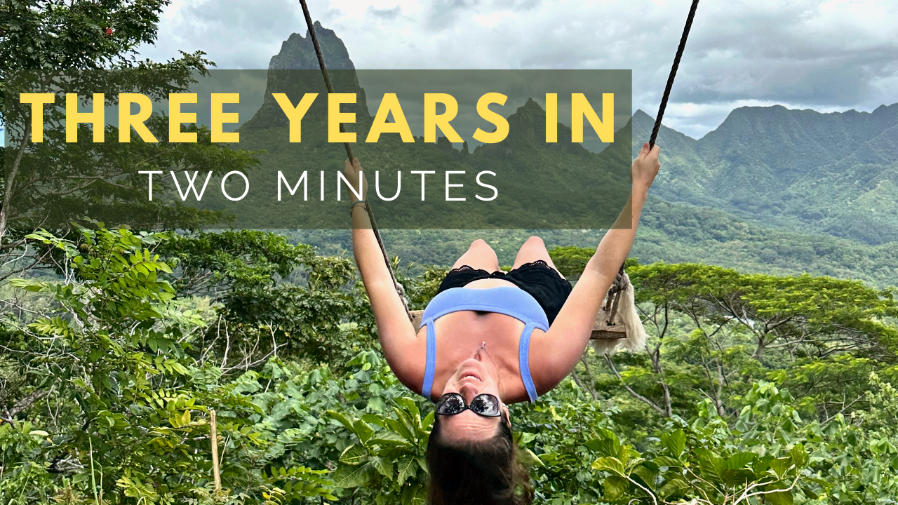 2 MINUTES Traveling Around the World Alone. Laying with Lions, Swimming with Sharks Whales and More!