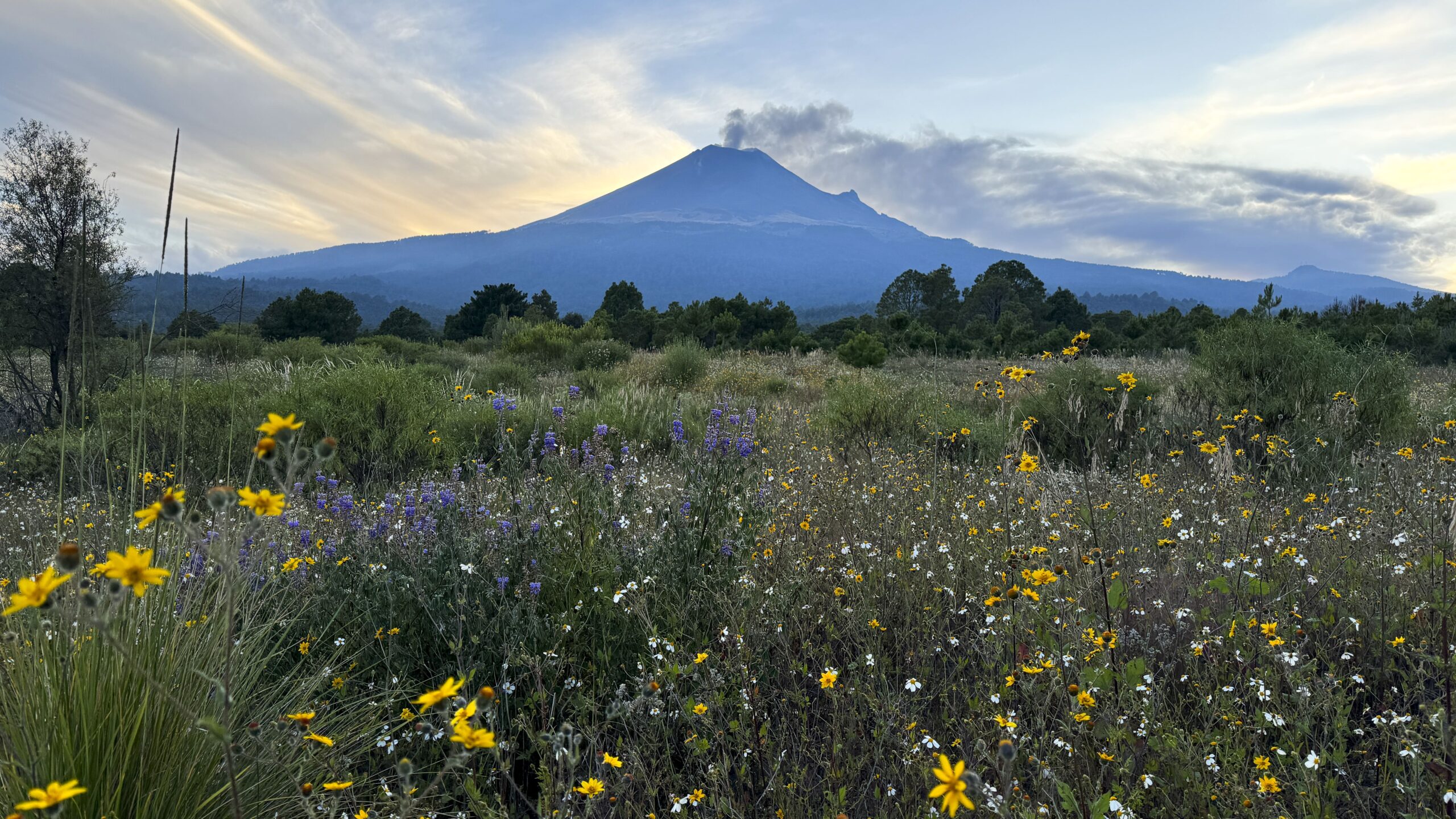 FAVORITE MEXICO CAMPING SPOTS-7-min