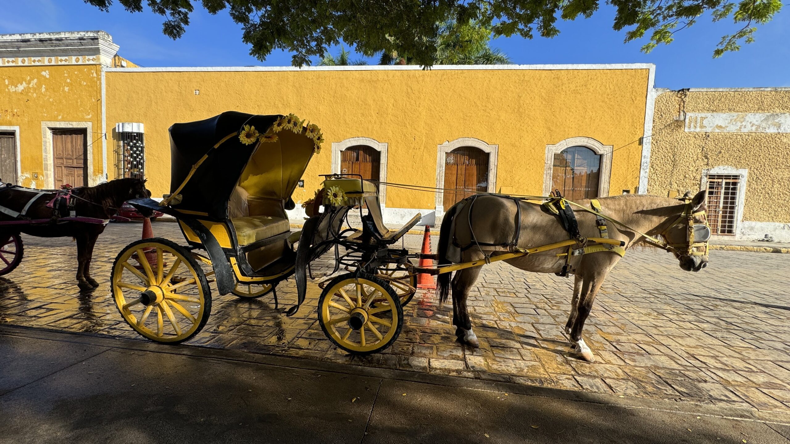 Izamal Mexico's Famous Yellow Town