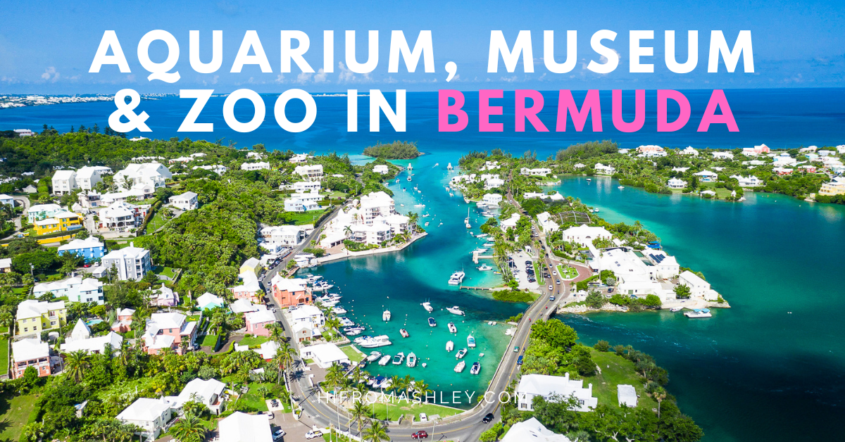 Bermuda Aquarium, Museum and Zoo