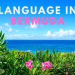 language in Bermuda