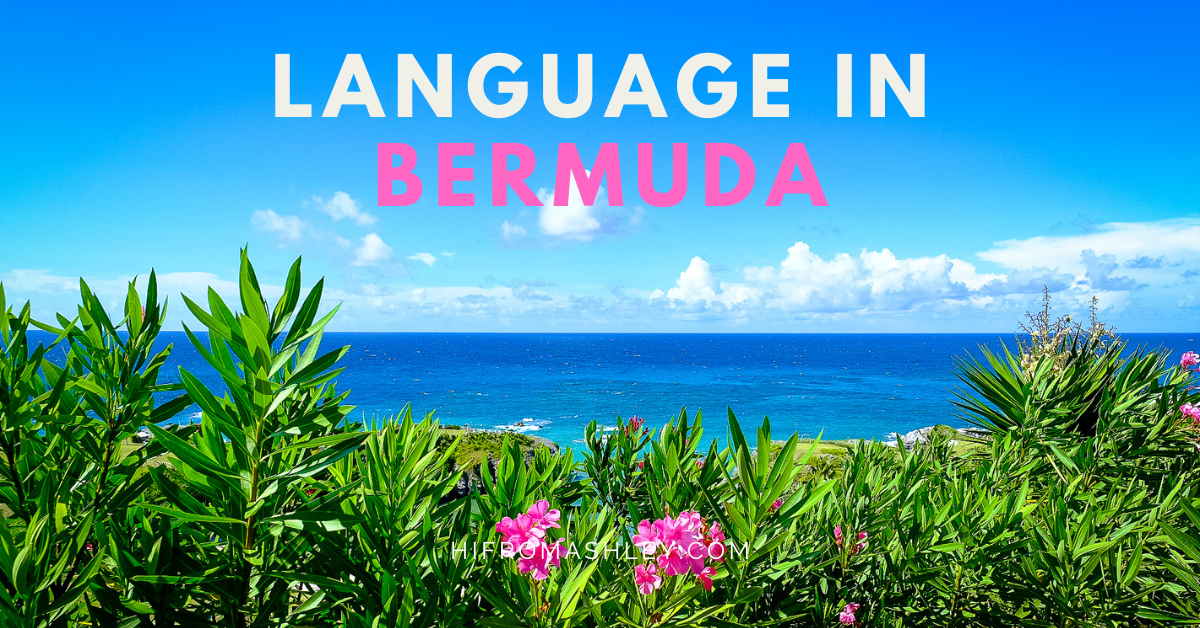 language in Bermuda