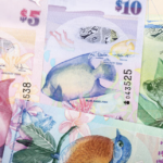 Bermuda Money