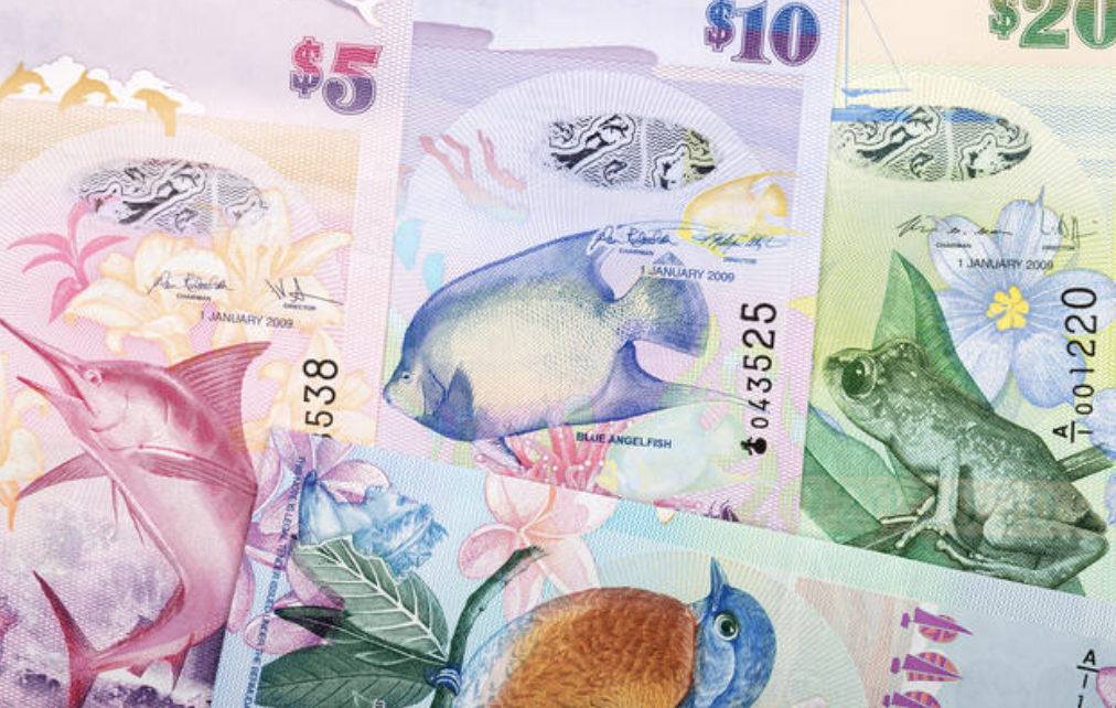 Bermuda Money