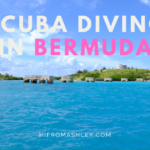 scuba diving in BERMUDA