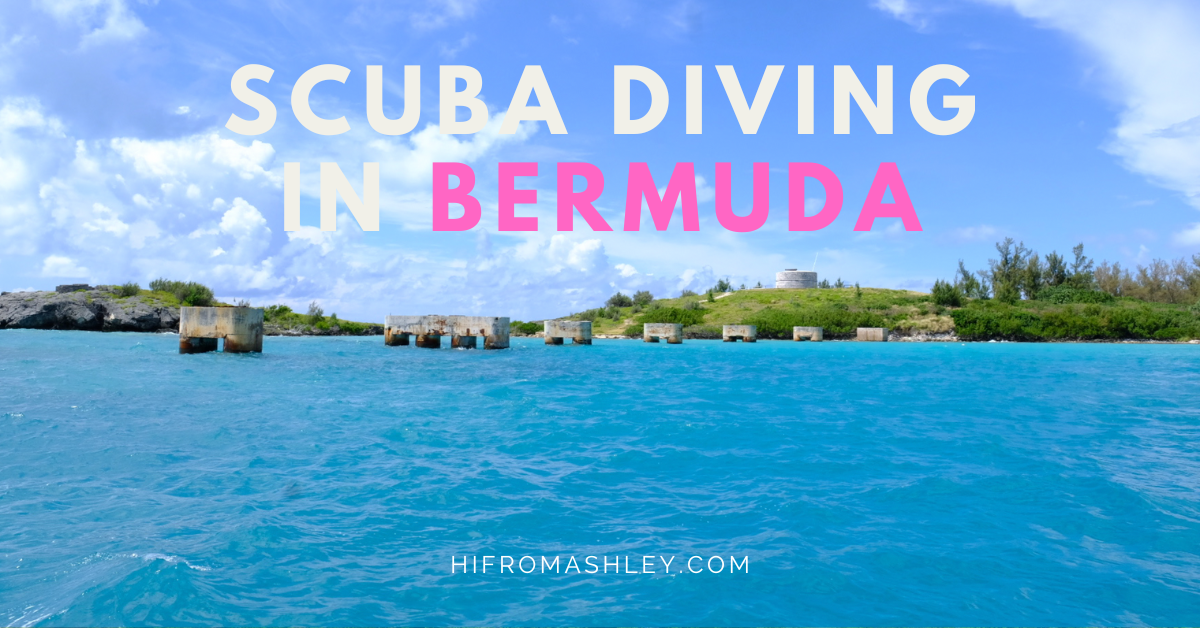 scuba diving in BERMUDA