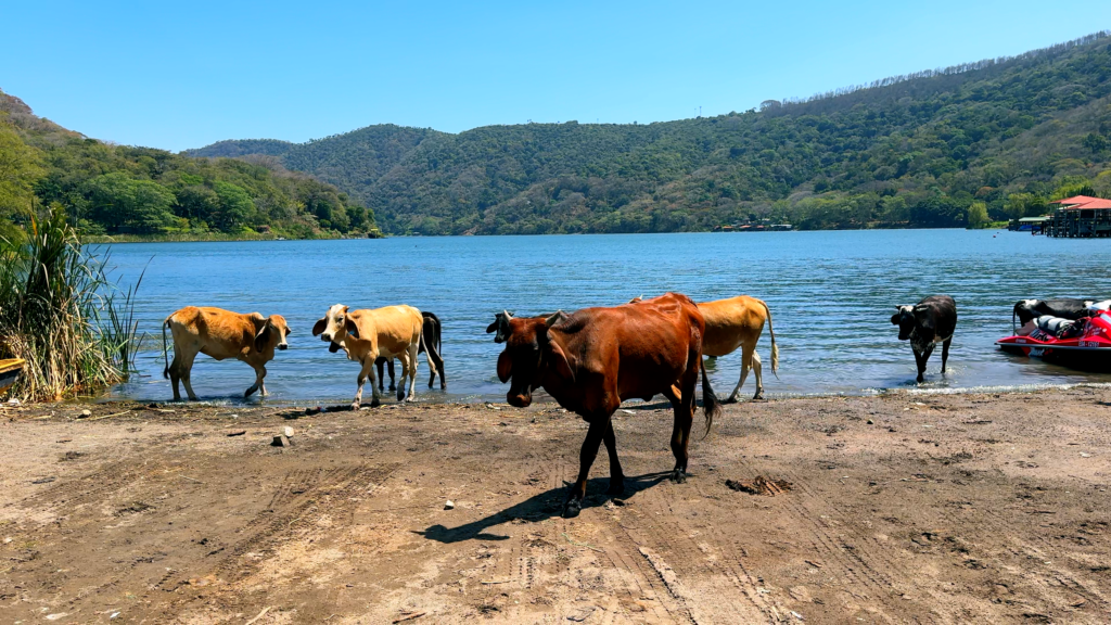 Lake Coatepeque