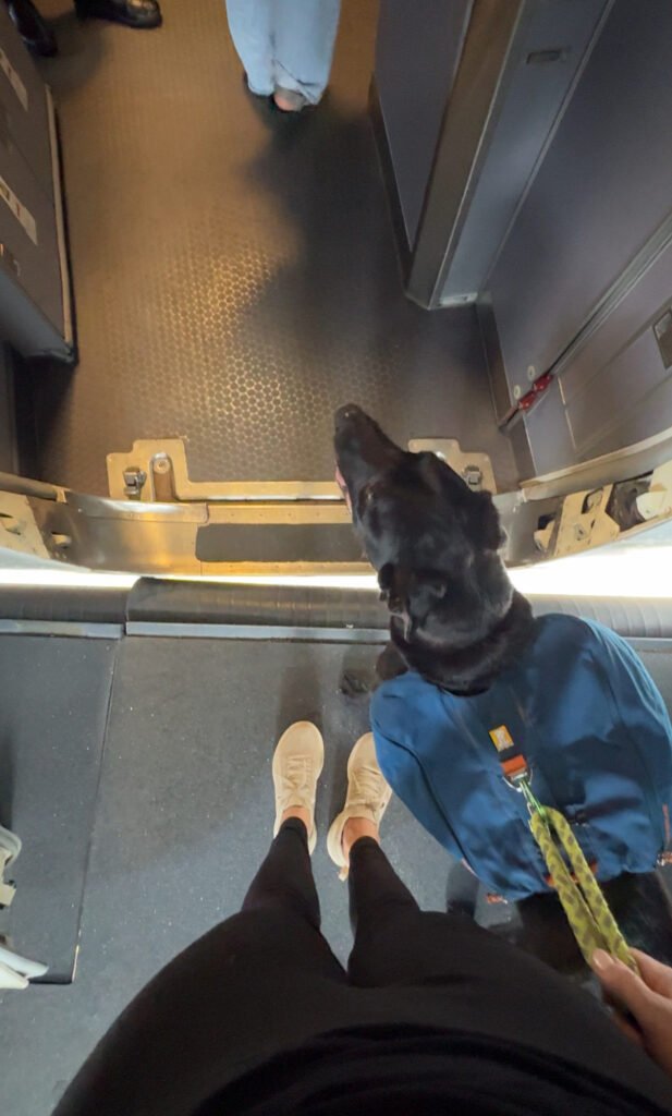 porter at the airport