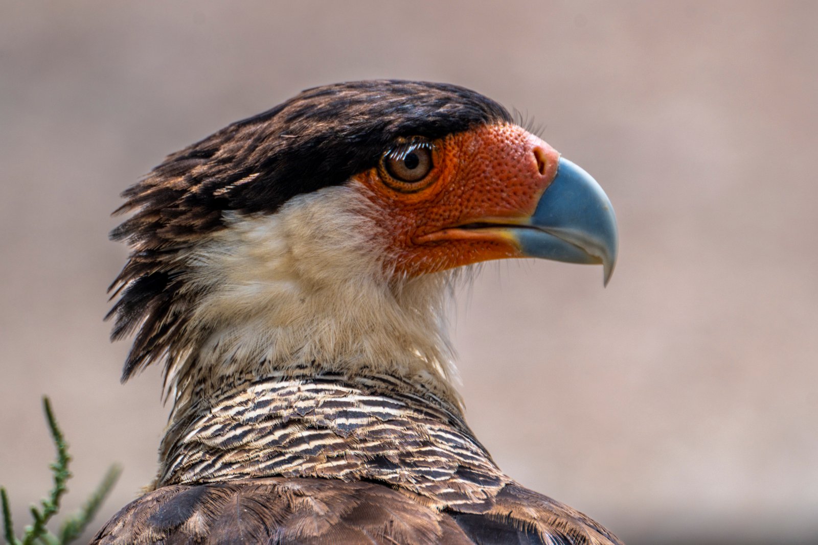 Tatacoa Colombia Wild Camping