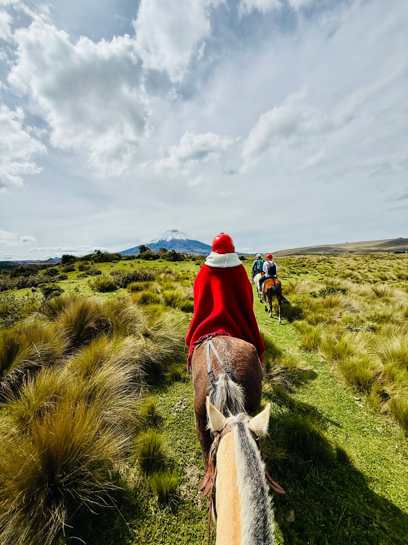 Cotopaxi Horse tour