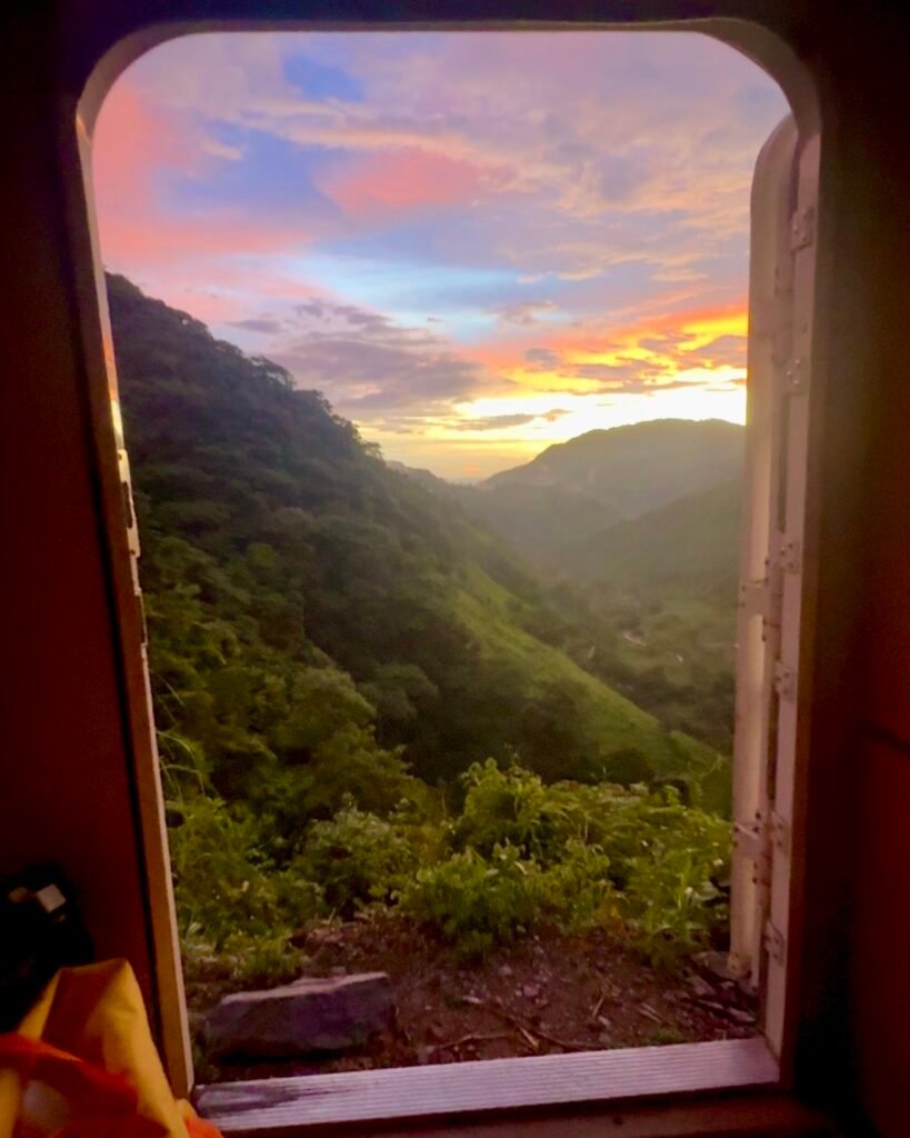 turnout wild camp in Colombia