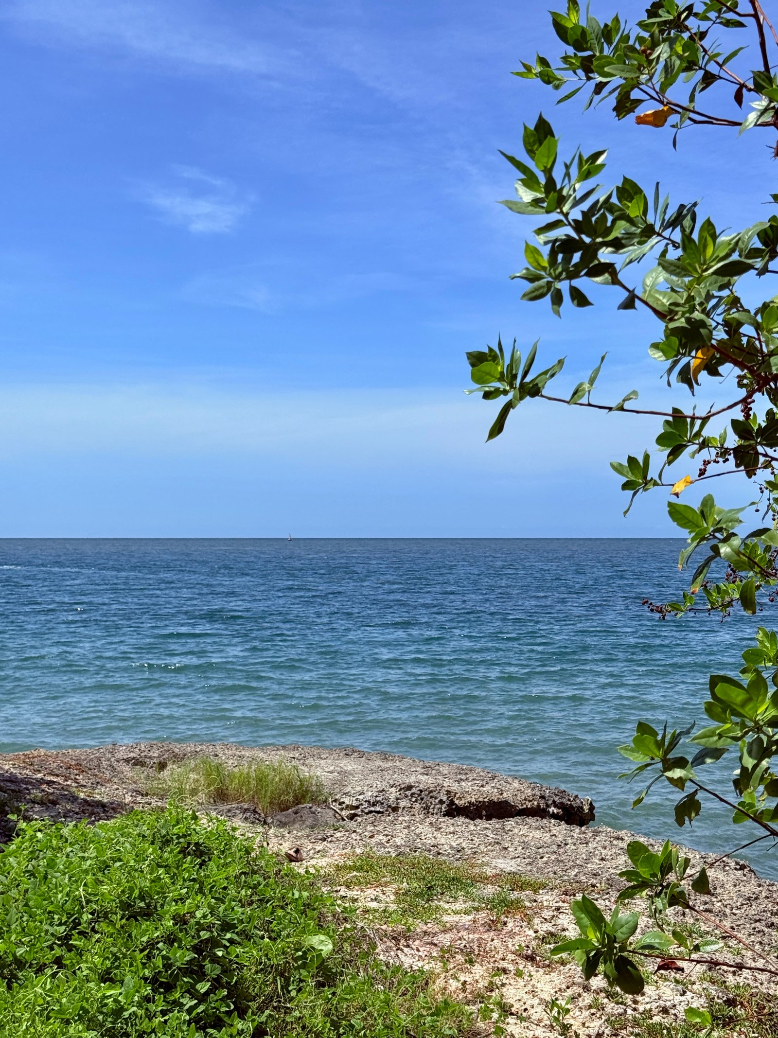 Blue Apple Beach Club