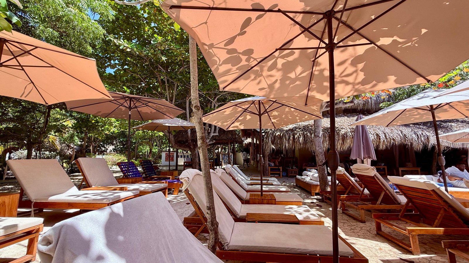 Blue Apple Beach Club