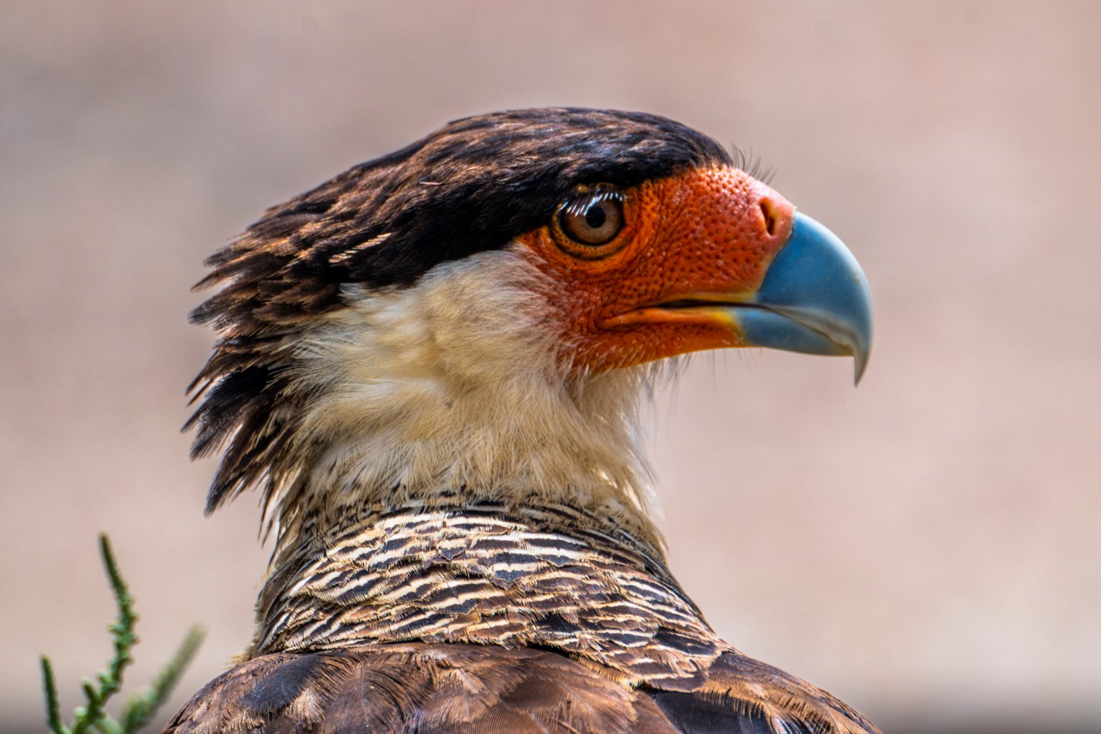 Tatacoa Desert Colombia