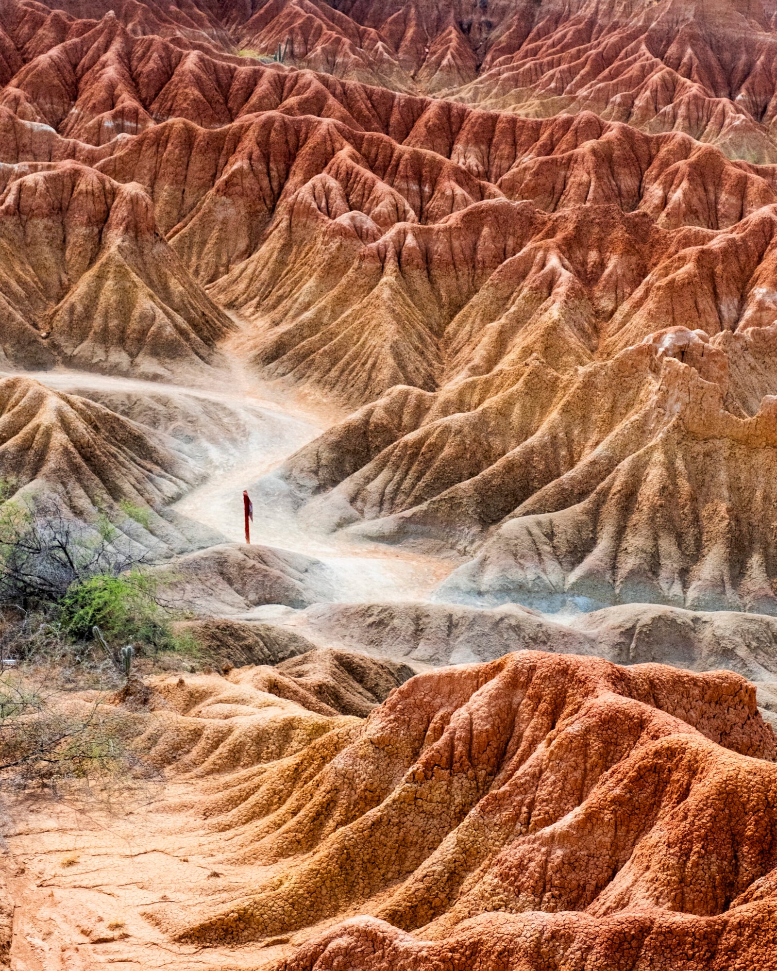 TATACOA desert COLOMBIA