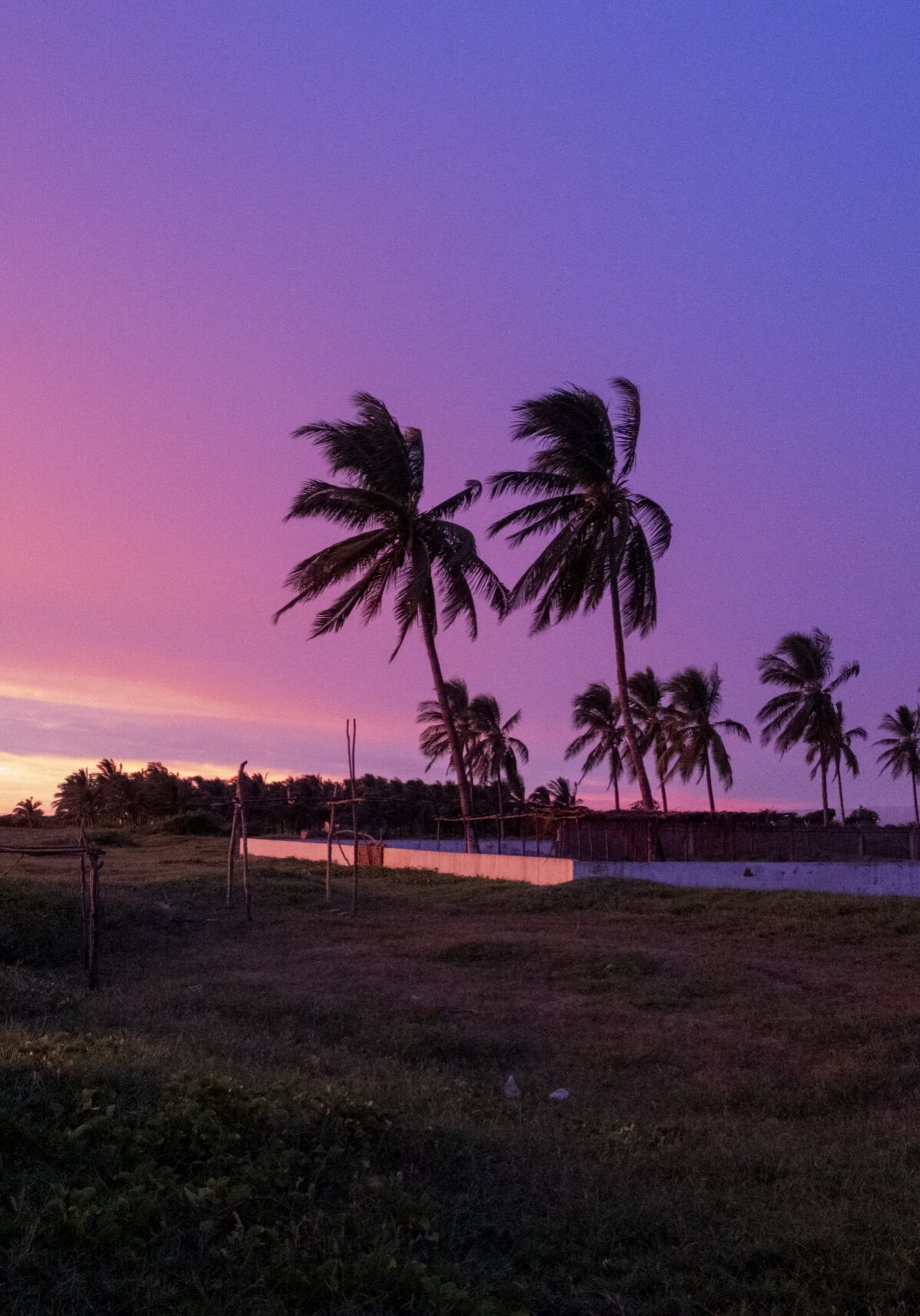 camping in mexico at the beach stunning sunset